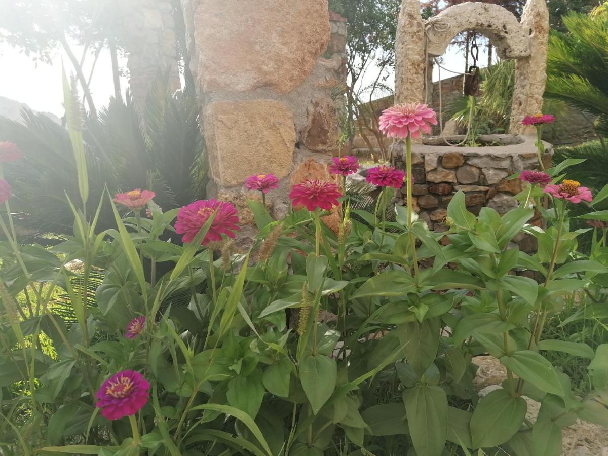 Villa Nonna Nina Capaci Bagian luar foto