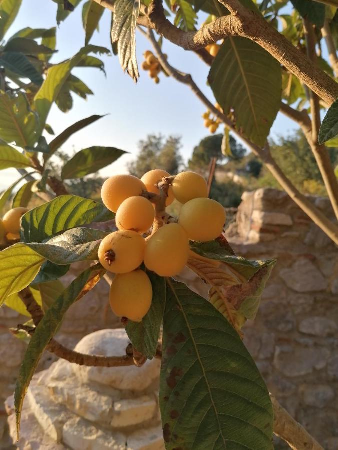 Villa Nonna Nina Capaci Bagian luar foto