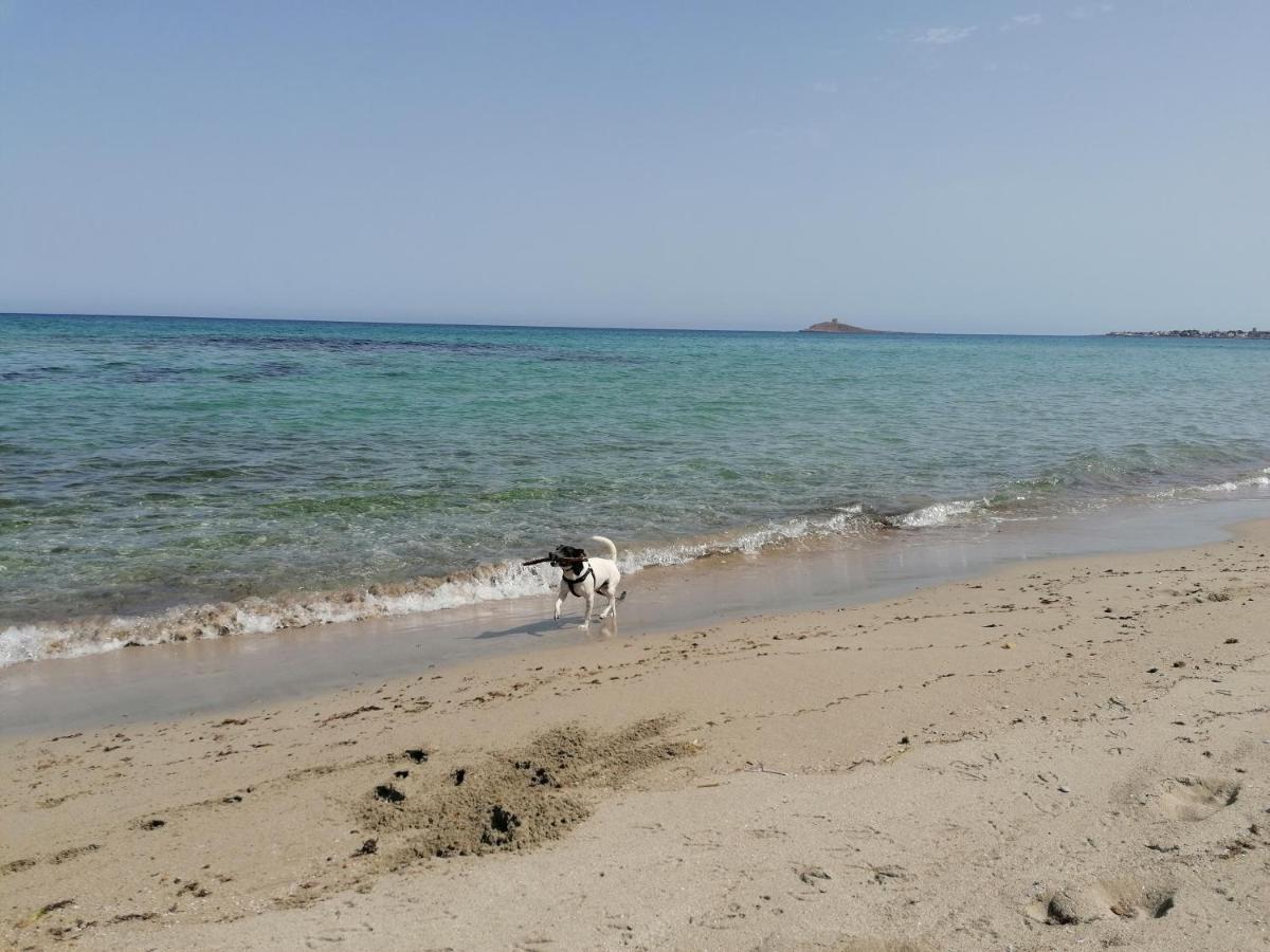 Villa Nonna Nina Capaci Bagian luar foto