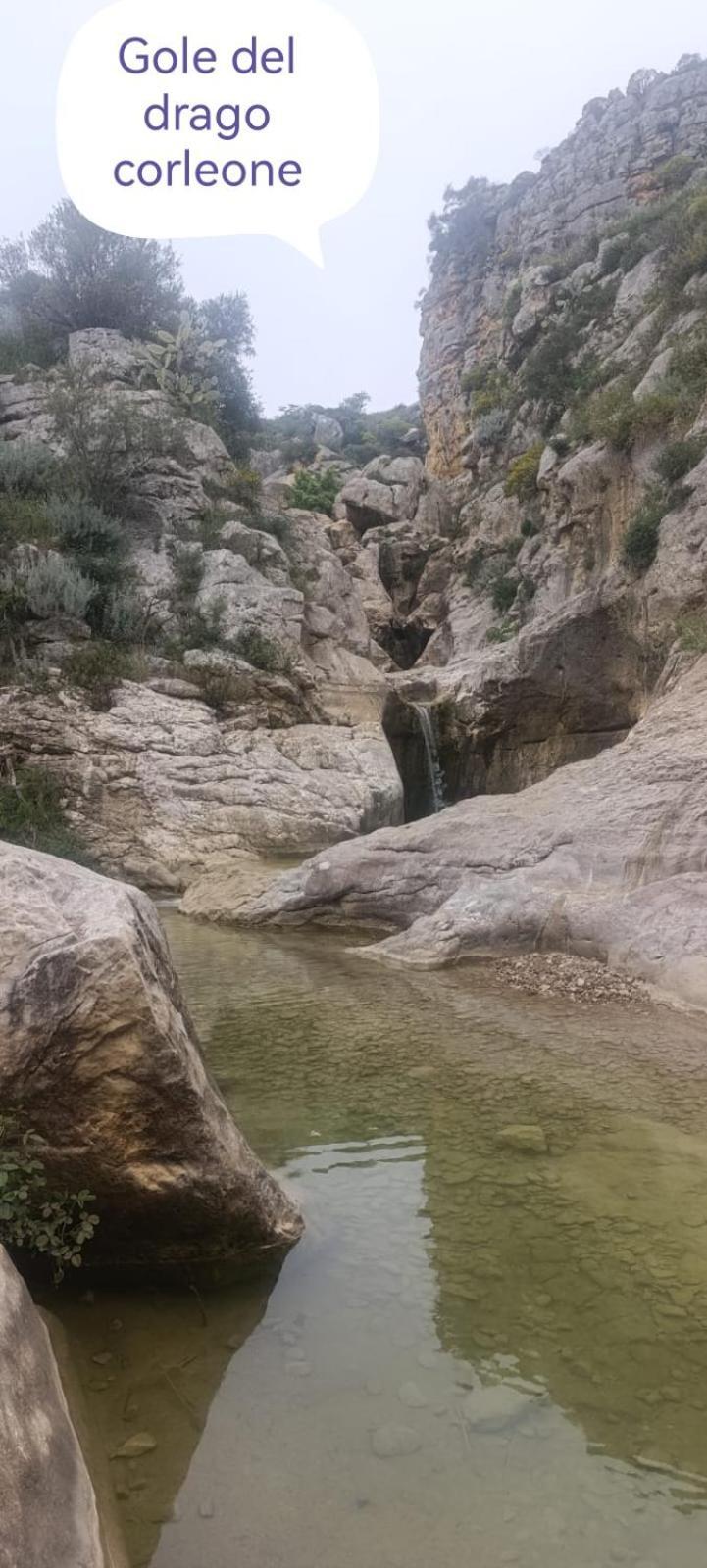Villa Nonna Nina Capaci Bagian luar foto